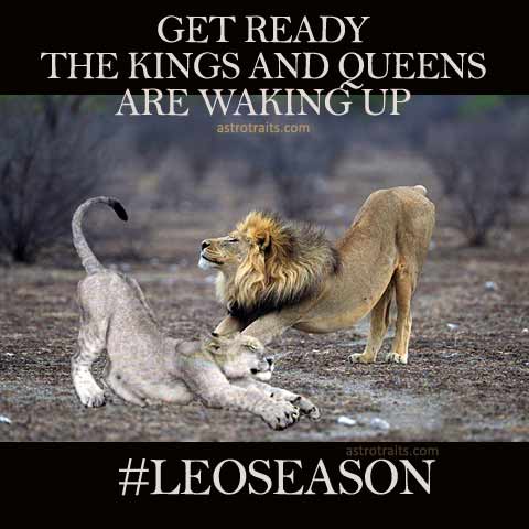 The Best Leo Season Memes Top 13 Leo Season Memes