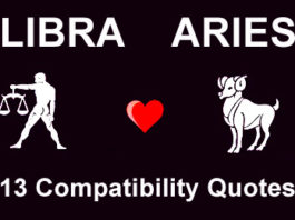 libra aries