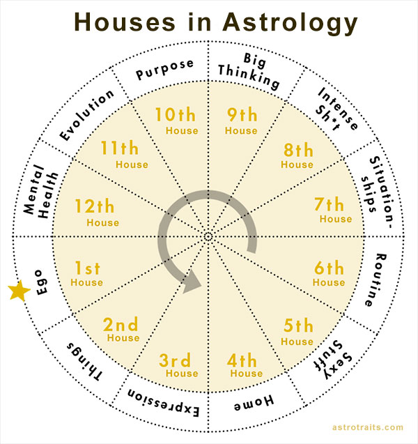 HOUSES IN ASTROLOGY - Easy Explanation with Examples